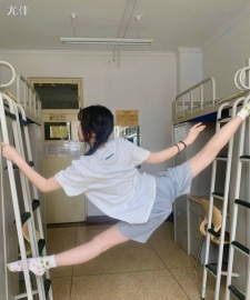 宁波伴游小酷橘子照片