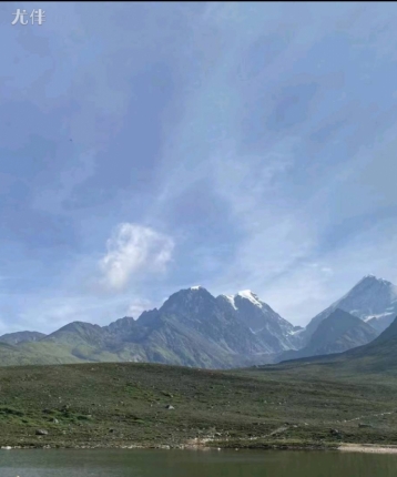 巨大的胡萝卜的头像