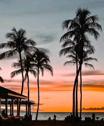 唔它唔它的头像