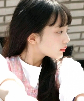 喜欢猫咪森林的头像