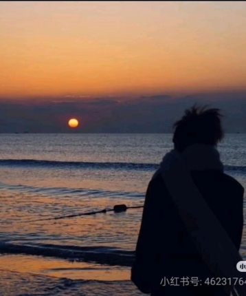 小雨鱼天的头像