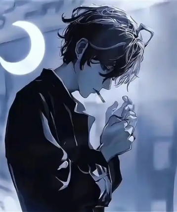 温暖的太阳的头像