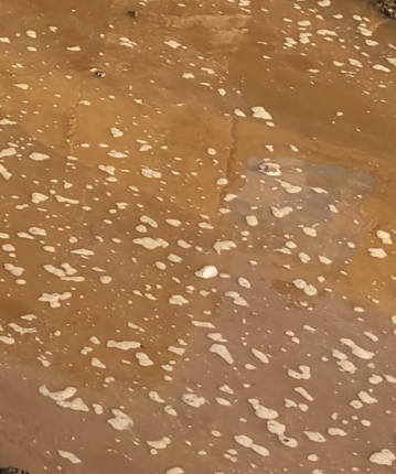 Awesosbshme的头像