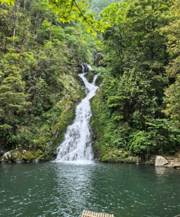 李加多宝的头像