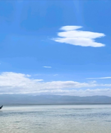 还是青花的头像