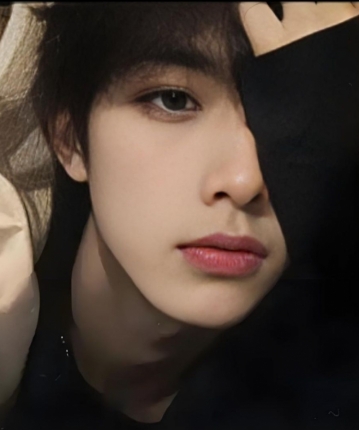 想我了莫的头像