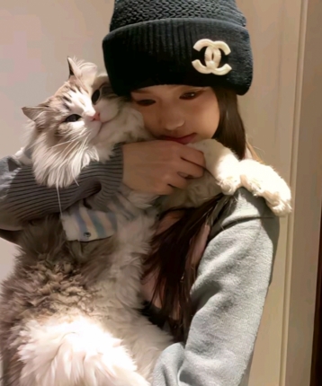 宝宝宝.宝的头像