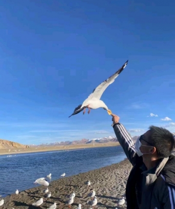 请你喝奶茶的头像