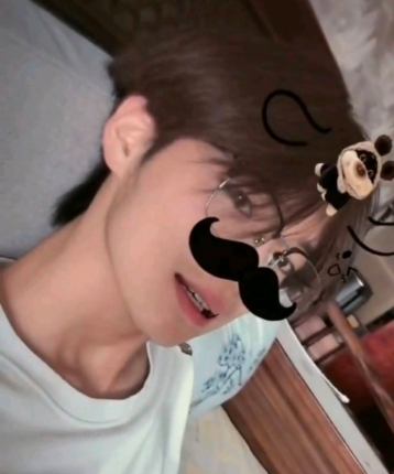 一只小阳的头像