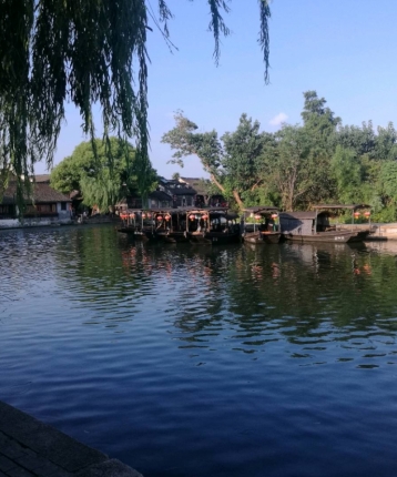 人生苦短及时调整的头像