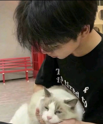 回忆似如风的头像