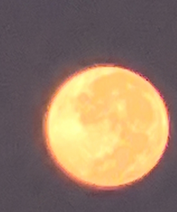 简单丶丶丶的头像