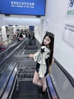小海豚的照片