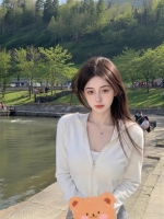 春天的燕子的照片
