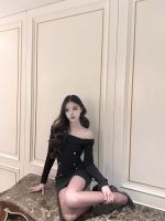 小海豚的照片