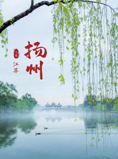 扬州三日游精华行程（2025年5月最新版）‌