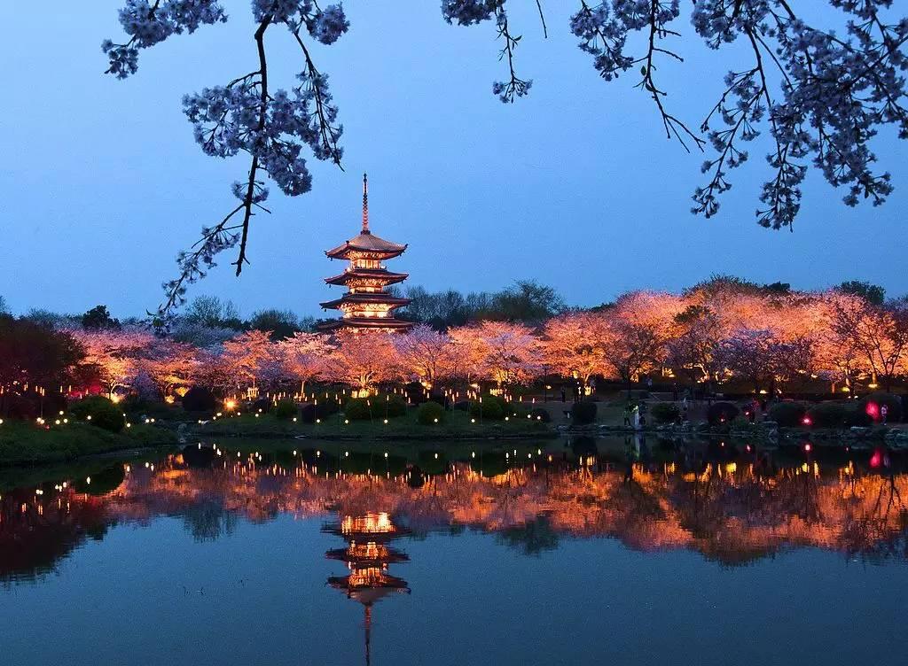 长寿之地——"龙游湖"风景区