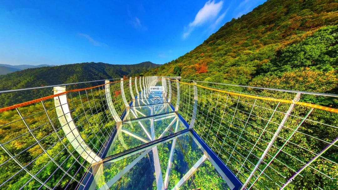 大余丫山,你想要的都有