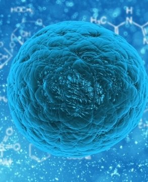 寻找最刺激的头像