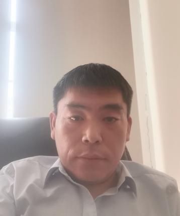 大鲨鱼大鲨鱼的头像