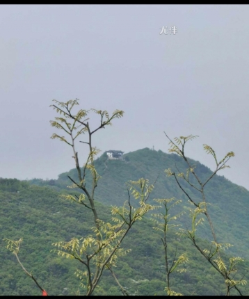 规划需求的头像
