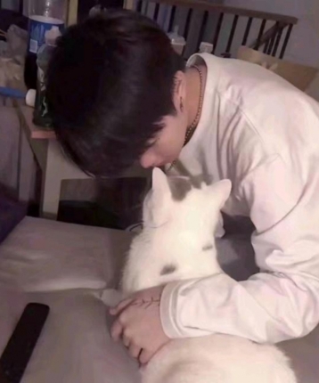 敬九的头像