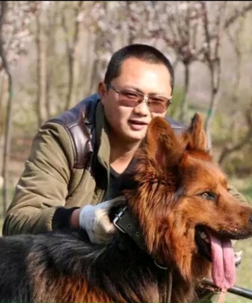 野狼111的头像