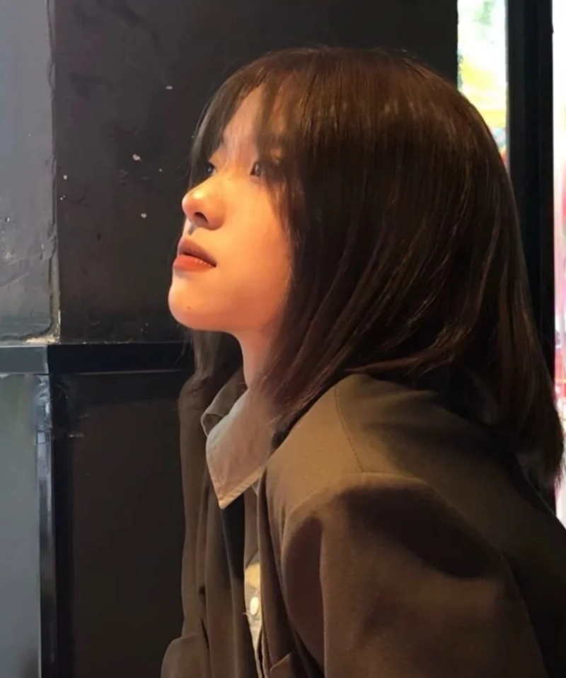 佛山伴游小燕子飞的照片