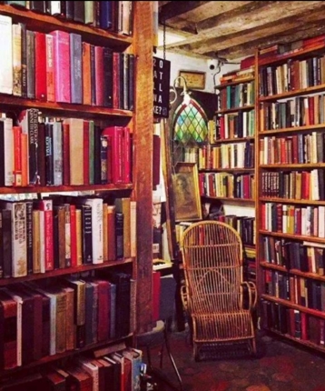 八级大狂风11的头像