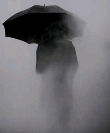 蛋糕暗夜的头像
