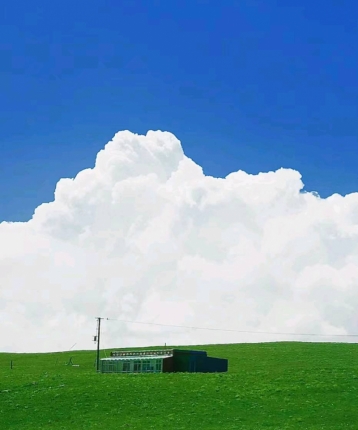 从临沂去成都的头像