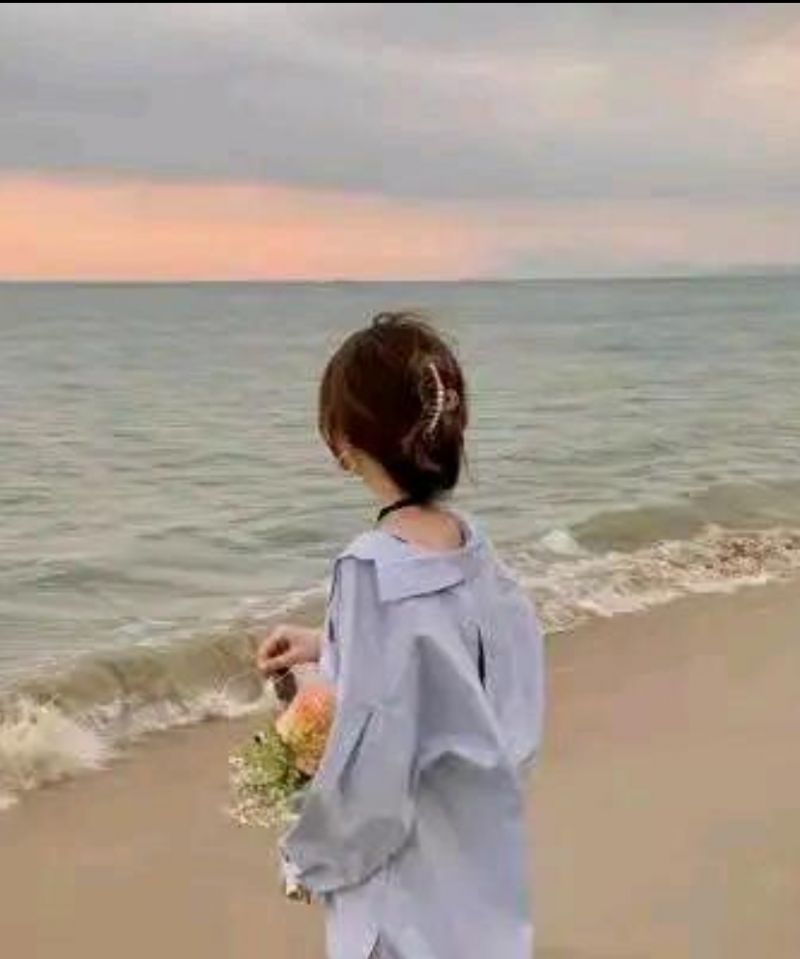 清风的温柔的头像