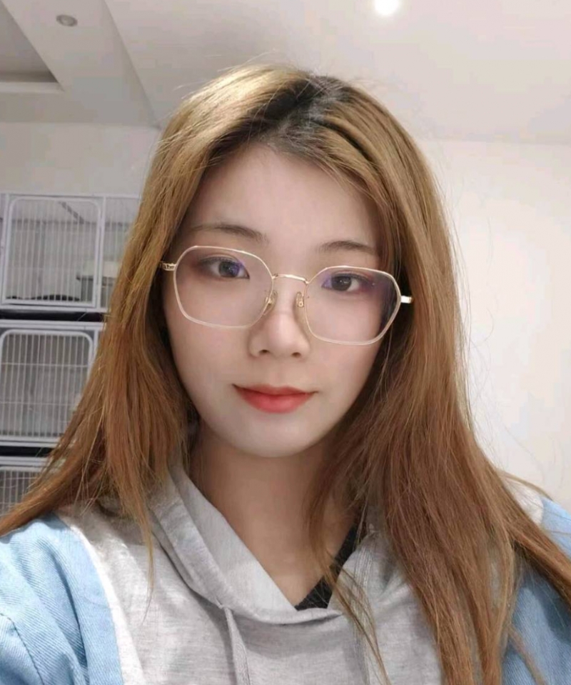 波尔多的头像