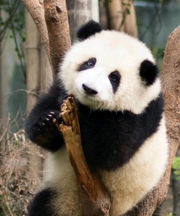 我随便你随意的头像