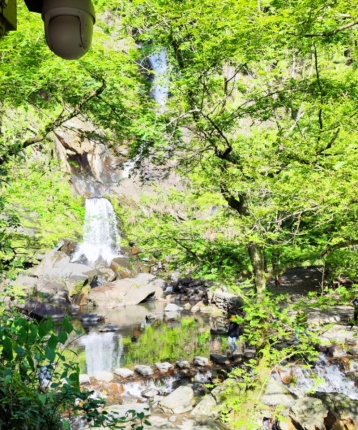 春风徐来的头像