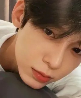 痴心绝对的头像