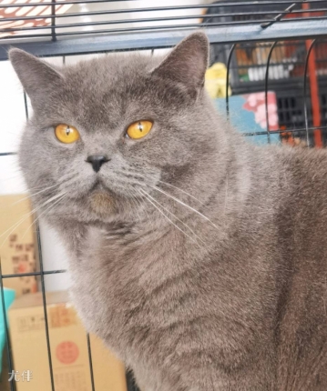 默默的默默的头像