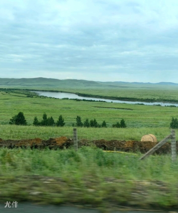 浪漫等待的头像