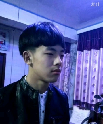 董岛脉的头像