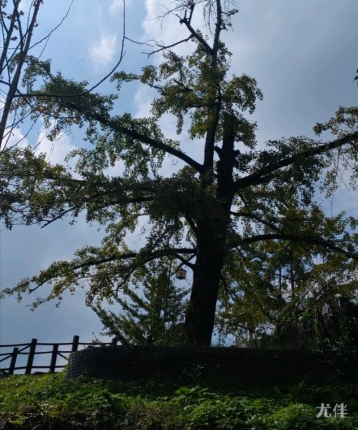 游天涯海角的头像