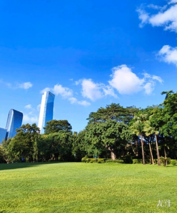 成熟稳重男人的头像