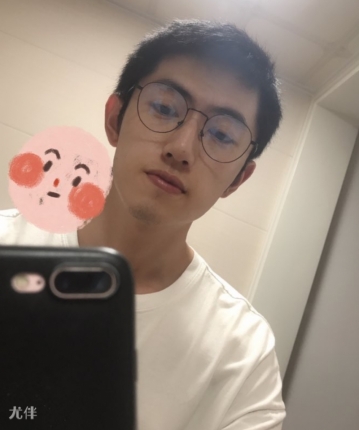 流浪动物的头像