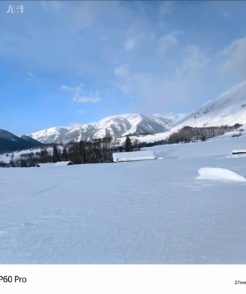 牵手知己的头像