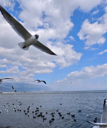 看世界那么大的头像