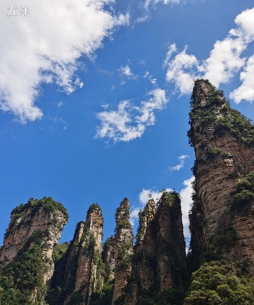 在路上1992的头像