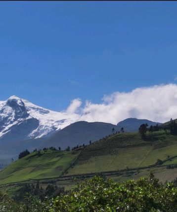 沙丘的沙子的头像