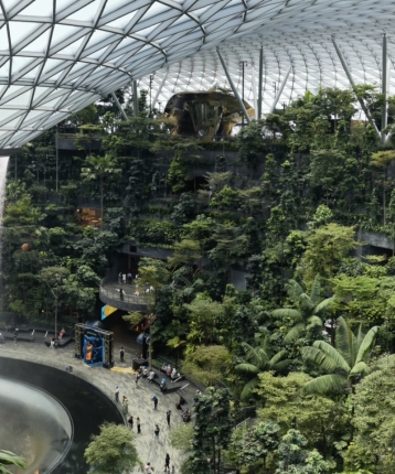 无计可施的头像