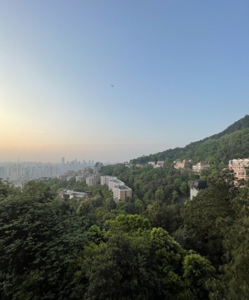 云上山巅的头像