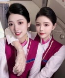 橘子a姐姐的头像