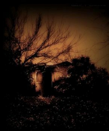 夜半吃吃的头像